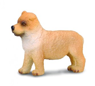 Pies chow chow szczęnię Pies chow chow szczęnię