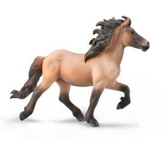 Icelandic Stallion Bay Dun Icelandic Stallion Bay Dun