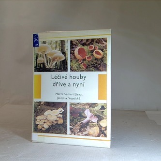 Léčivé houby dříve a nyní