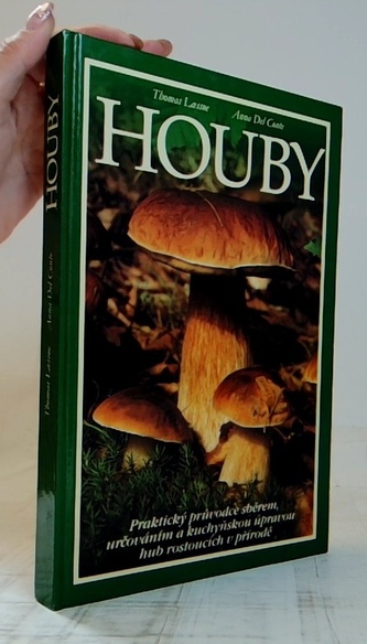 Houby