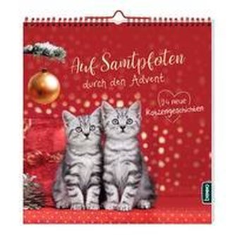 Auf Samtpfoten durch den Advent