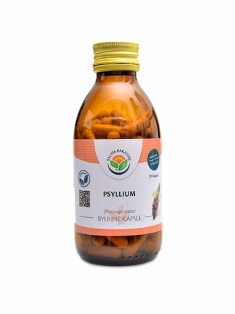 Salvia paradise - Psyllium 120 kapslí