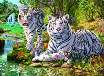 Ravensburger Puzzle - Rodina bílých tygrů 500 dílků