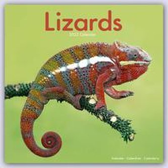 Lizards - Eidechsen 2023 - 16-Monatskalender