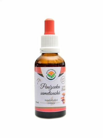 Salvia paradise - Penízovka sametonohá AF tinktura 50ml