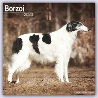 Borzoi - Russischer Wolfshund 2023