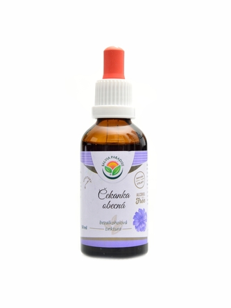Salvia paradise - Čekanka kořen AF tinktura 50ml