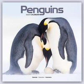 Penguins - Pinguine 2023 - 16-Monatskalender