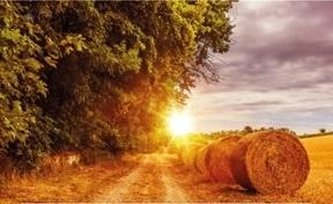 Kalendarz 2023 Trójdzielny Łany zbóż ANIEW