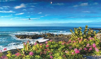 Kalendarz 2023 Trójdzielny Wybrzeże ANIEW