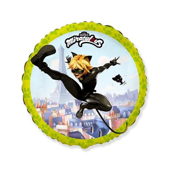 Foliový balonek Kouzelná beruška a černý kocour - Noir 46 cm - Nebalený