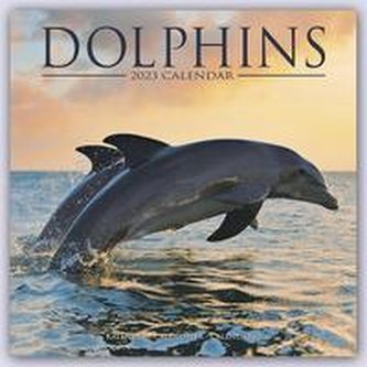 Dolphins - Delfine - Delphine 2023 - 16-Monatskalender