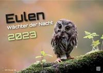 Eulen - Wächter der Nacht - 2023 - Kalender DIN A3