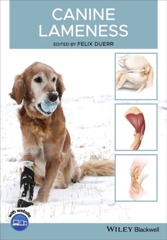 Canine Lameness
