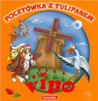VIPO Pocztówka z tulipanem Holandia