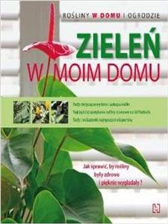 Zieleń w moim domu.