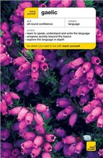 Teach Yourself Gaelic New