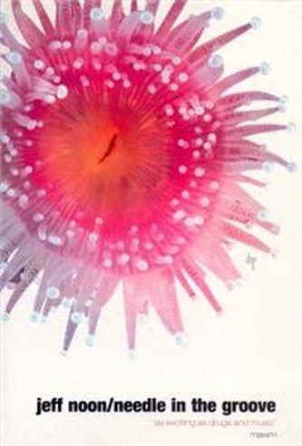 Needle in the groove