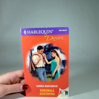 Dokonalá asistentka