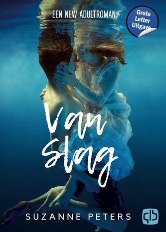 Van slag