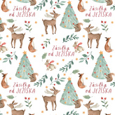 Velkoobchodní balení - Vánoční balící papír - Zásilka od Ježíška - 25 archů