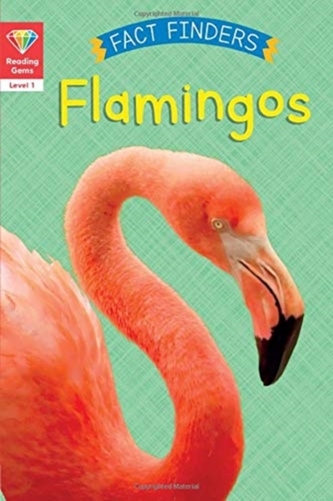 Reading Gems Fact Finders: Flamingos (Level 1)