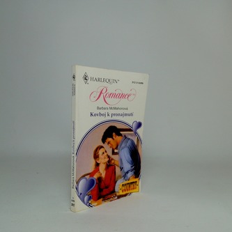 Kovboj k pronajmutí