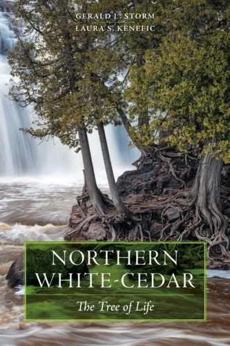 Northern White-Cedar Northern White-Cedar