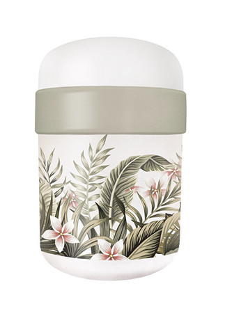 Bioloco Ekologický dvoupatrový svačinový box Květy s listy