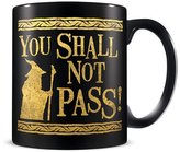 Keramický hrnek The Lord Of The Rings|Pán prstenů: You Shall Not Pass (objem 315 ml)