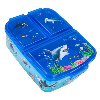 Svačinový box Underwater World, Tyrkysovo-modrý, 3 segmenty | 0411960_A