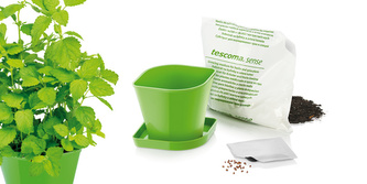 TESCOMA Souprava pro pěstování bylinek SENSE, meduňka