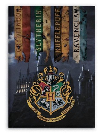 FLÍSOVÁ DEKA HARRY POTTER