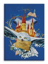 FLÍSOVÁ DEKA HARRY POTTER