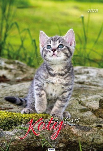 Kalendarz 2023 A3 Koty AVANTI