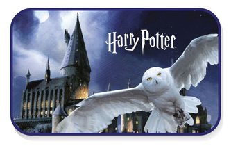 KOBEREC HARRY POTTER