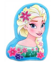 3D POLŠTÁŘ FROZEN