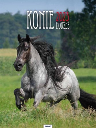 Kalendarz 2023 Ścienny Konie AVANTI