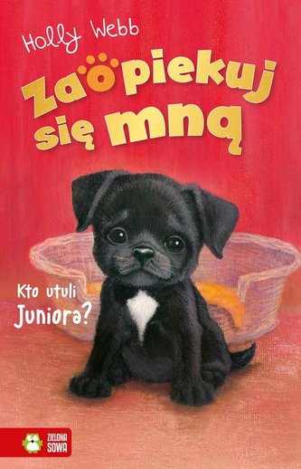 Zaopiekuj się mną Kto utuli Juniora?