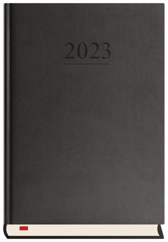 Terminarz 2023 Menadżera Czarny