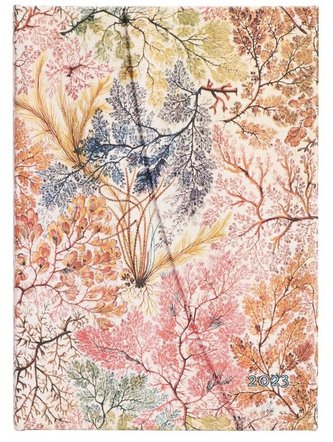 Kalendarz książkowy midi 2023 Anemone Kalendarz książkowy midi 2023 Anemone