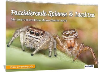 Spinnenkalender 2023, Faszinierende Spinnen & Insekten, Eindrucksvolle Makro-Motive 2023