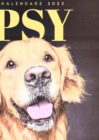 Kalendarz 2023 Ścienny Psy
