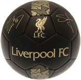 Fotbalový míč Liverpool FC: vzor Signature Gold PH (5)