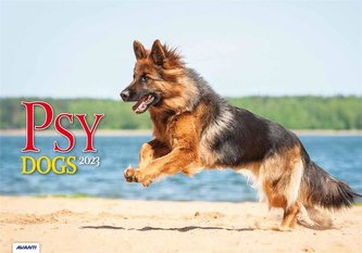 Kalendarz 2023 Albumowy Psy AVANTI