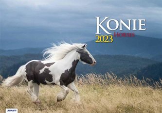 Kalendarz 2023 Albumowy Konie AVANTI