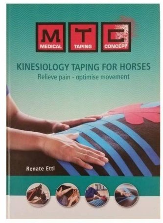 Kinesiology Taping For Horses Kinesiology Taping For Horses