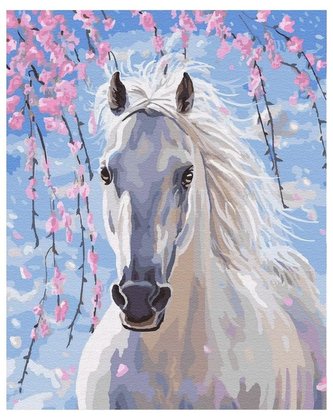 Malowanie po numerach - Biały koń 40x50cm