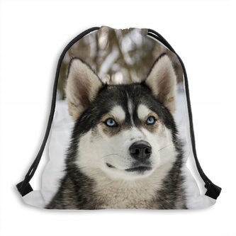 Vak na záda 112 HUSKY MyBestHome 41x32 cm