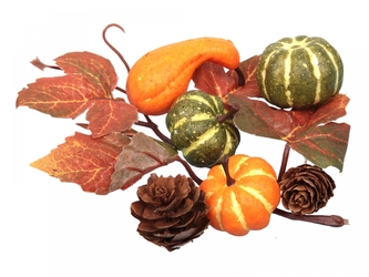 Podzimní větvička dýně a šišky 3-6 cm